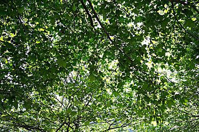 《凯恩的遗产1+2复刻版》PC配置需求公布 GT620可玩